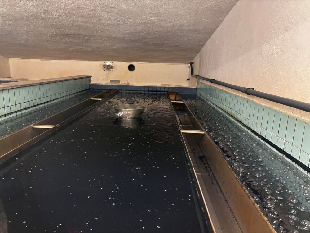 Blick in das Aktivkohlebecken: Die Blasen entstehen, wenn Luft aus dem Filterbett austritt. Die Aktivkohle bindet organische Stoffe, Pestizide sowie Geruchs- und Geschmacksstoffe.